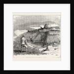 Deer Stalking in the Forest of the Black Mount, Argyllshire: The Coup De Grace by Anonymous