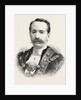 The New Lord Mayor, Mr. Alderman David Evans by Anonymous