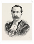 The New Lord Mayor, Mr. Alderman David Evans by Anonymous