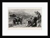 Her Majesty the Queen, the Princess Royal, and the Prince of Wales at Loch Laggan, Scotland by Anonymous