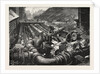 The London Gas Supply: The Condensers by Anonymous
