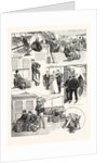 How I Went on a Voyage in Search of a Wife by Anonymous
