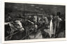 The Smithfield Club Cattle Show at the Agricultural Hall by Anonymous