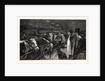 The Smithfield Club Cattle Show at the Agricultural Hall by Anonymous