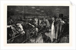The Smithfield Club Cattle Show at the Agricultural Hall by Anonymous