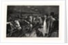 The Smithfield Club Cattle Show at the Agricultural Hall by Anonymous