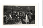 The Smithfield Club Cattle Show at the Agricultural Hall by Anonymous