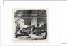 Cork Manufacture in Spain: The Boiling Department by Anonymous