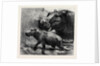 The Hippopotamus and Her Young One at the Zoological Gardens by Anonymous