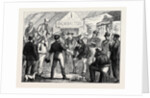 Sketches in Australia: Disputing a Claim by Anonymous
