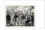 Sketches in Australia: Disputing a Claim by Anonymous