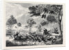 Sketches in Australia: Kangaroo Hunting by Anonymous