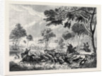 Sketches in Australia: Kangaroo Hunting by Anonymous