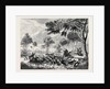 Sketches in Australia: Kangaroo Hunting by Anonymous