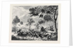 Sketches in Australia: Kangaroo Hunting by Anonymous
