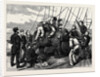 Tom, the Duke of Edinburgh's Elephant by Anonymous