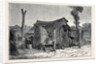 Sketches from Australia in Relation to the Tichborne Case: Hut in which the Claimant is Said to Have Lived at Wagga Wagga by Anonymous