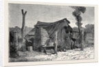 Sketches from Australia in Relation to the Tichborne Case: Hut in which the Claimant is Said to Have Lived at Wagga Wagga by Anonymous