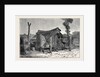 Sketches from Australia in Relation to the Tichborne Case: Hut in which the Claimant is Said to Have Lived at Wagga Wagga by Anonymous