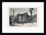 Sketches from Australia in Relation to the Tichborne Case: Hut in which the Claimant is Said to Have Lived at Wagga Wagga by Anonymous
