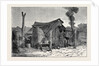 Sketches from Australia in Relation to the Tichborne Case: Hut in which the Claimant is Said to Have Lived at Wagga Wagga by Anonymous