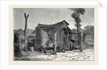 Sketches from Australia in Relation to the Tichborne Case: Hut in which the Claimant is Said to Have Lived at Wagga Wagga by Anonymous