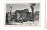Sketches from Australia in Relation to the Tichborne Case: Hut in which the Claimant is Said to Have Lived at Wagga Wagga by Anonymous