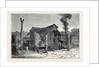 Sketches from Australia in Relation to the Tichborne Case: Hut in which the Claimant is Said to Have Lived at Wagga Wagga by Anonymous