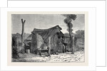 Sketches from Australia in Relation to the Tichborne Case: Hut in which the Claimant is Said to Have Lived at Wagga Wagga by Anonymous