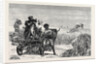 Sketches from India, Antelope Hunting: Loosing the Cheetah by Anonymous