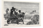 Sketches from India, Antelope Hunting: Loosing the Cheetah by Anonymous