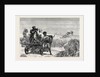 Sketches from India, Antelope Hunting: Loosing the Cheetah by Anonymous