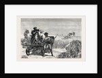 Sketches from India, Antelope Hunting: Loosing the Cheetah by Anonymous