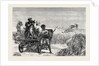 Sketches from India, Antelope Hunting: Loosing the Cheetah by Anonymous