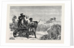 Sketches from India, Antelope Hunting: Loosing the Cheetah by Anonymous
