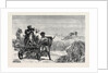 Sketches from India, Antelope Hunting: Loosing the Cheetah by Anonymous