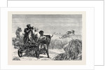 Sketches from India, Antelope Hunting: Loosing the Cheetah by Anonymous
