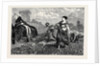 Country Notes, Harrowing after the Potato Crop by Anonymous