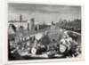 Rome: Excavations in the Forum Romanum by Anonymous