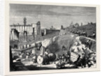 Rome: Excavations in the Forum Romanum by Anonymous