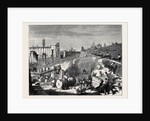 Rome: Excavations in the Forum Romanum by Anonymous