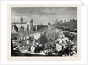 Rome: Excavations in the Forum Romanum by Anonymous