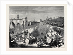 Rome: Excavations in the Forum Romanum by Anonymous