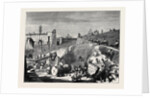 Rome: Excavations in the Forum Romanum by Anonymous
