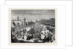 Rome: Excavations in the Forum Romanum by Anonymous