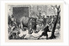Transferring the Hairy Rhinoceros from Her Travelling Den to Her Cage by Anonymous