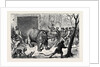 Transferring the Hairy Rhinoceros from Her Travelling Den to Her Cage by Anonymous