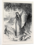Tahiti Girl Gathering Oranges by Anonymous