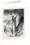 Tahiti Girl Gathering Oranges by Anonymous