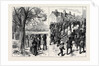 Sketches on the Thames: Training for the Race by Anonymous